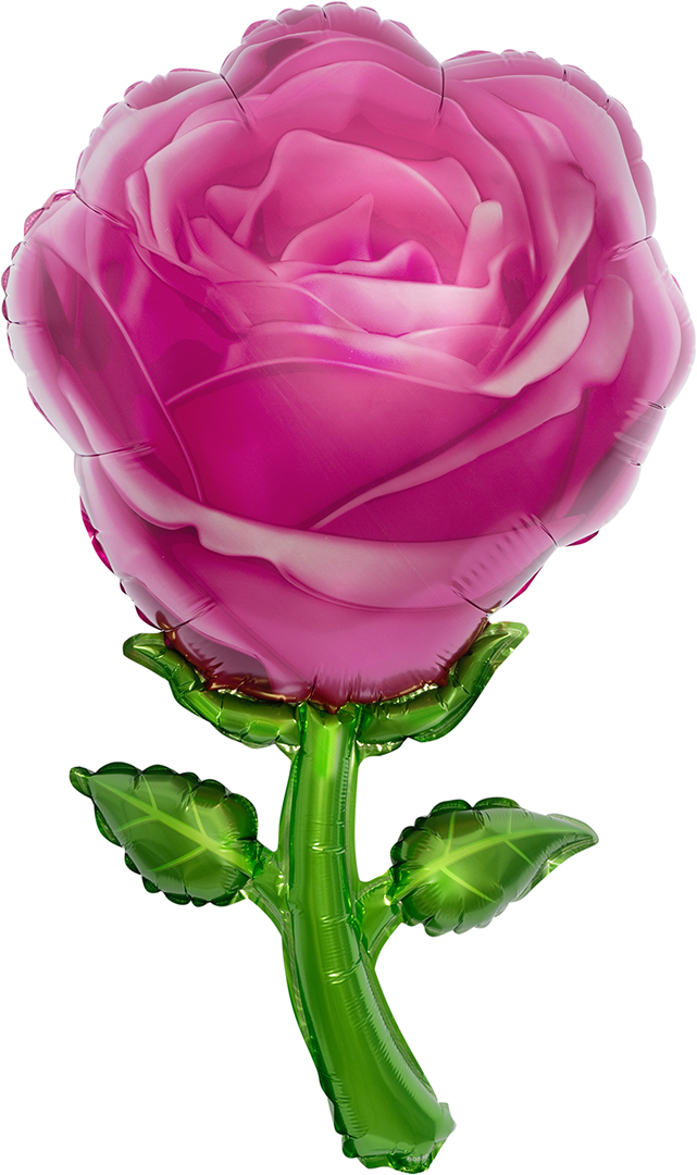 Роза цветок, розовый