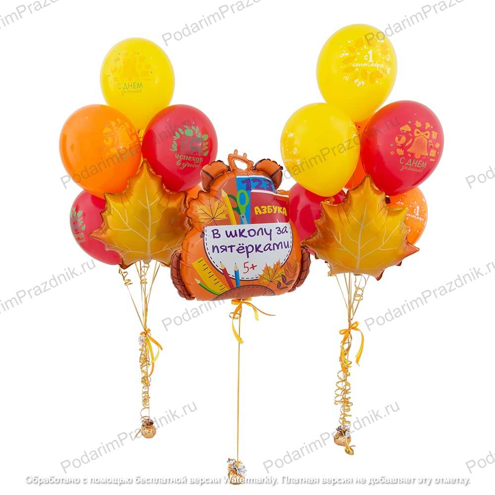 Комплект "В школу за пятёрками"