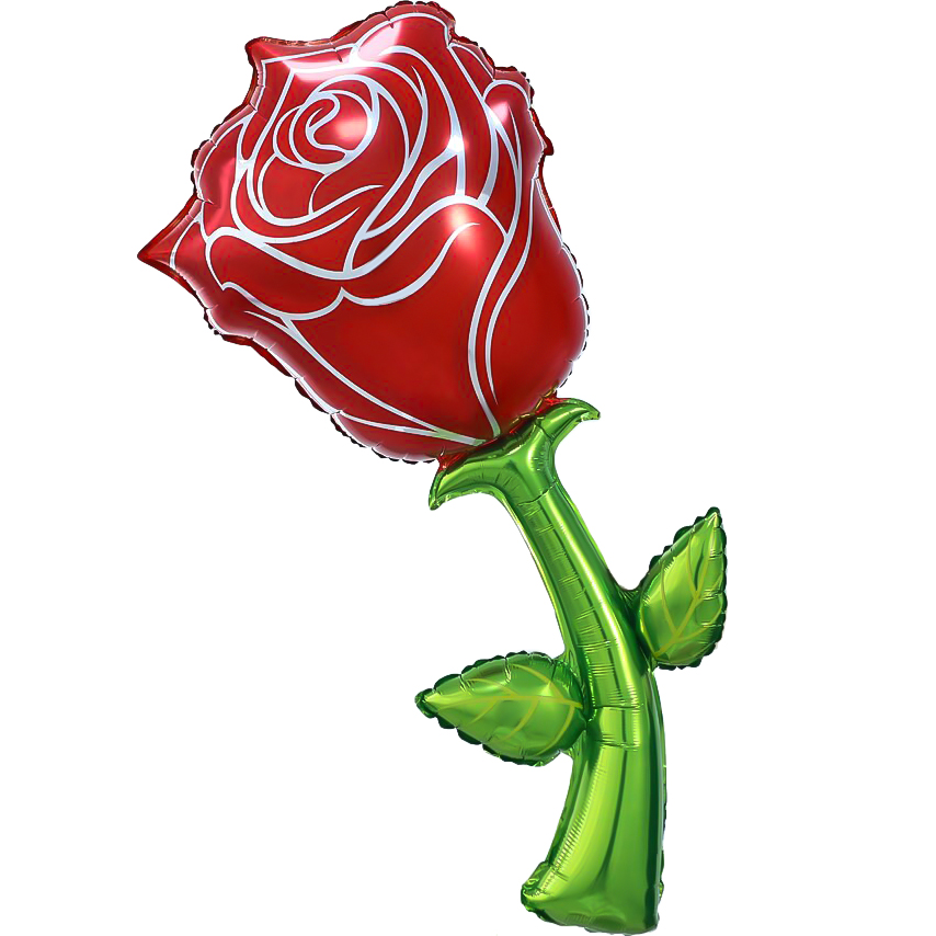 Роза красная цветок