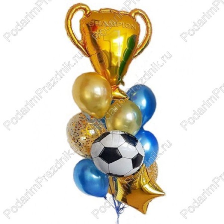 Моему чемпиону