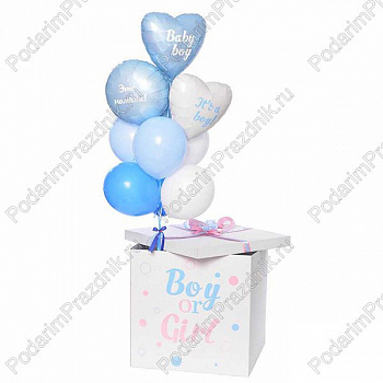 Коробка Мальчик или девочка