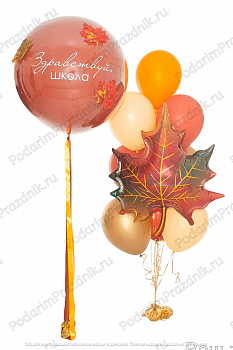 Набор "Здравствуй, школа!"