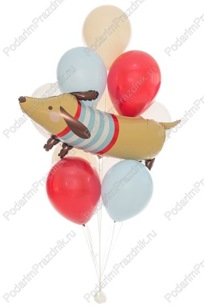 Связка Такса