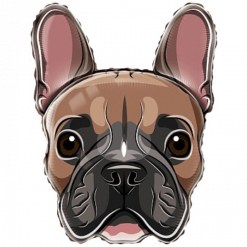 Собака Бульдог голова