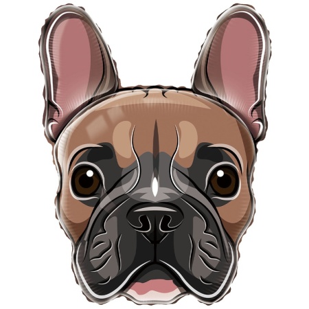 Собака Бульдог голова