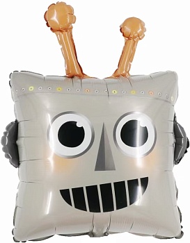 Голова Робота