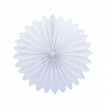 Бумажный диск Сплошной Белый 30 см