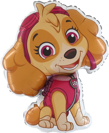 Щенячий патруль Скай