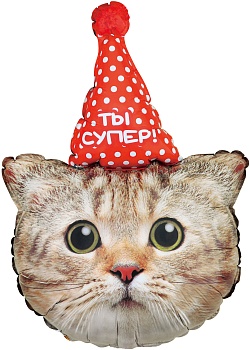 Котёнок в колпаке Ты супер