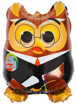 Сова Выпускник