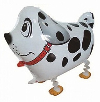 Далматин белый