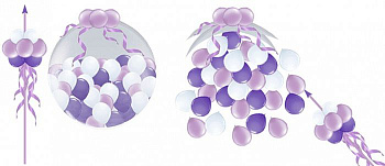 Шар-сюрприз