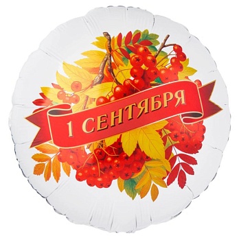 1 сентября. Рябина