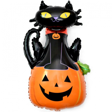 Кот на тыкве